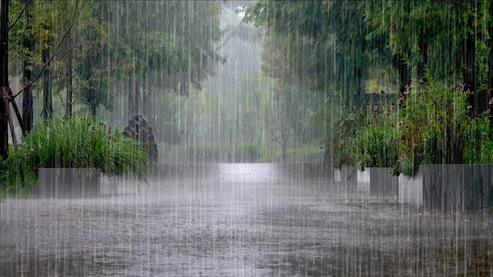 Heavy Rain Sounds that make you Forget Worries - Relaxation, Sleep, Insomnia, Tinnitus Improvement