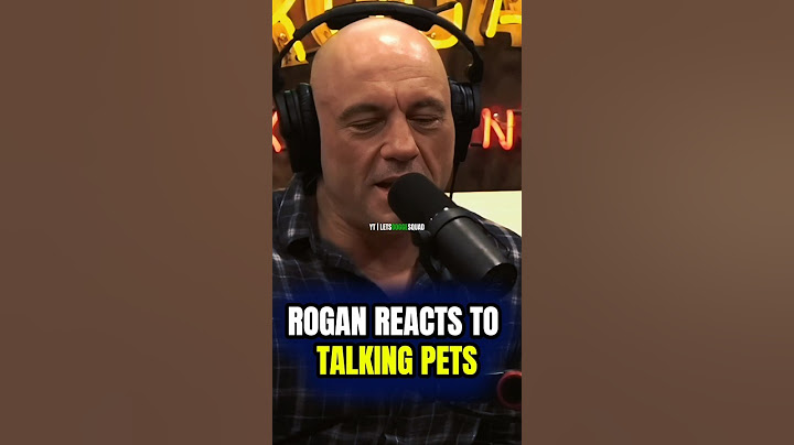 This AI Understands Cats… Joe Rogan Reacts  #jre  #joerogan #cats #dogs #meowtalk