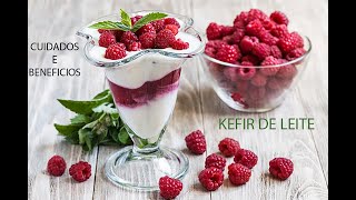 Kefir de leite - Cuidados e beneficios- como cuidar do kefir