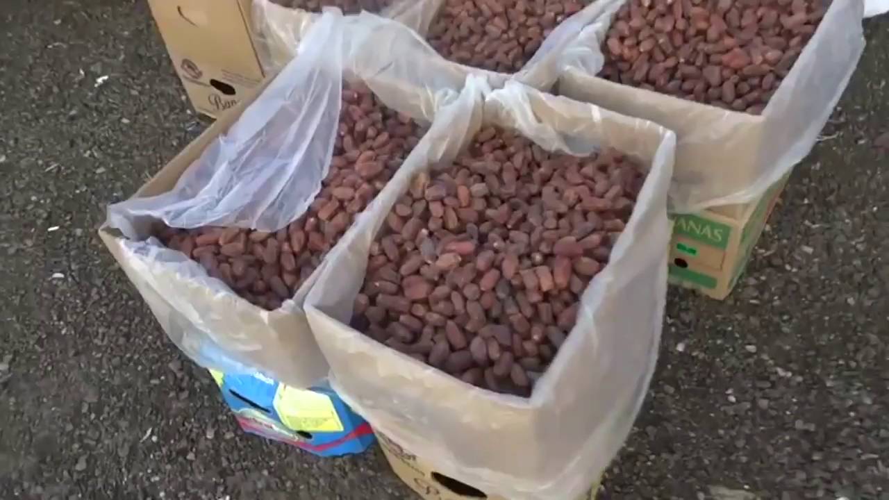 جولة في المنتدى الإقتصادي لصفري بيشة