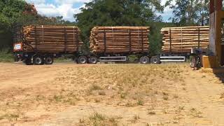 Model Transportes- Tritrem Florestal