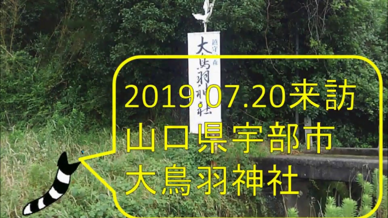 シニアの恋愛事情 ときめきは特効薬 老年期こそスキンシップが大切