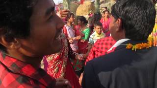 Tharu Wedding Dance Bankatta Gadariya Kailali. 2072