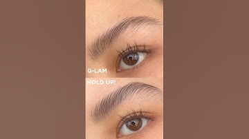Brow Wax vs Brow Gel - BAEBROW🩷