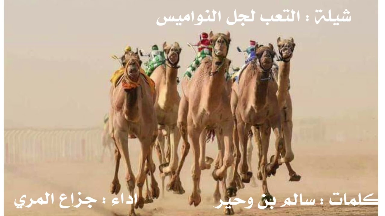 شيلة التعب لجل النواميس كلمات سالم بن وحير اداء جزاع المري جديد وحصري 2022