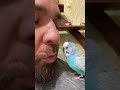 🔥Видели такое чудо?🔥