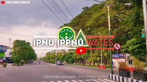IWAN FALS - SURAT UNTUK WAKIL RAKYAT || Reggae Version