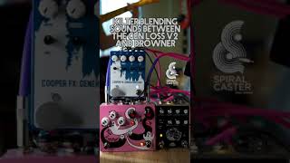 Blending Pedals With the Champion Leccy: Kilter #shorts