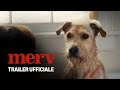 Merv | Trailer Ufficiale | Prime Video