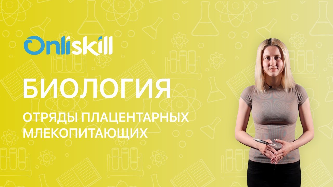 Биология 7 класс: Отряды плацентарных млекопитающих - YouTube