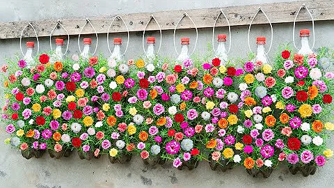 How To Make A Great Vertical Garden For A Small Garden With Plastic Bottles