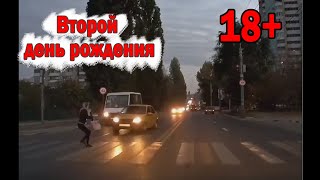 Родился в рубашке 2022 / Подборка ДТП 2022