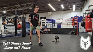 Split Stance Squat Jump with Pause