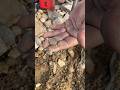 Metal Detector Found Old Gold Button #metaldetector #viral #goldbutton #oldgold #subscribe