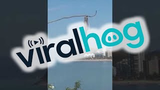 Sloth Hanging Upside Down Scratches Armpit || ViralHog
