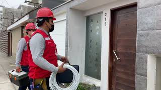 Proceso Del Trabajo En Worknet