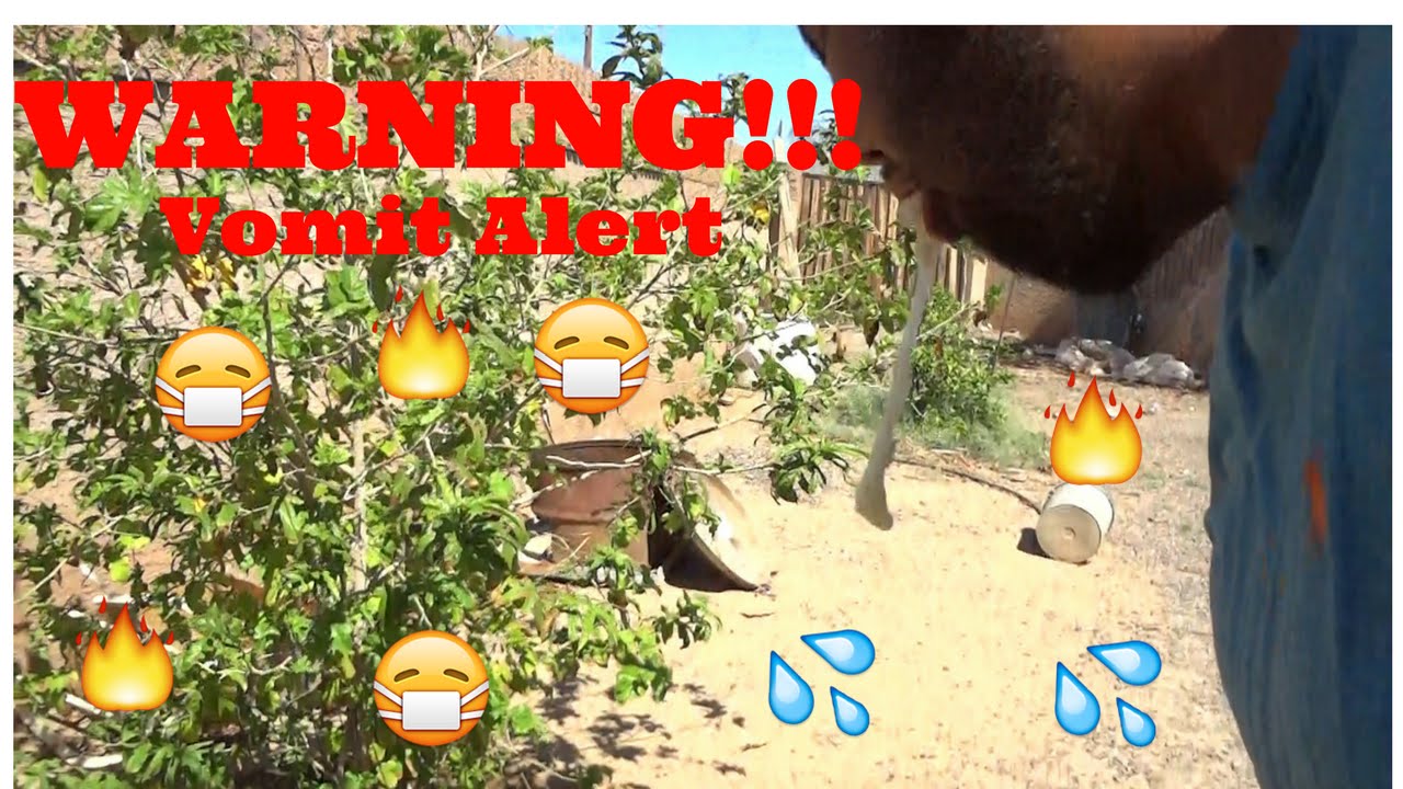 Banana And Sprite Challenge!!! WARNING VOMIT ALERT!!!! GRAPHIC!!! YouTube
