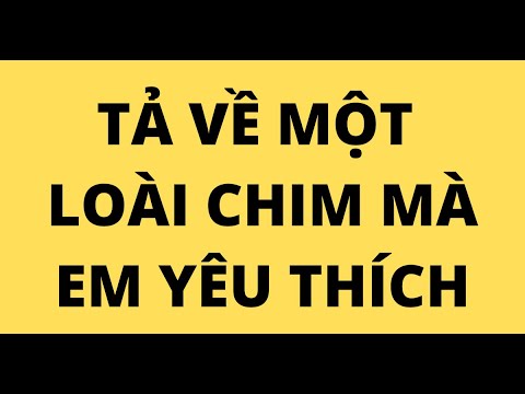 Video TẢ VỀ MỘT LOÀI CHIM MÀ EM YÊU THÍCH - youtube