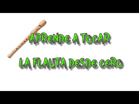 Aprende a tocar la flauta desde cero - parte 1