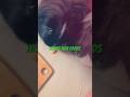 My guinea pigs trying tomato and carrots for the first time #guineapig!￼￼￼