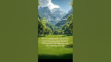 ما تيسر من سورة الرحمن surat arrahman #القرآن_الكريم #راحة_نفسية #quraan 