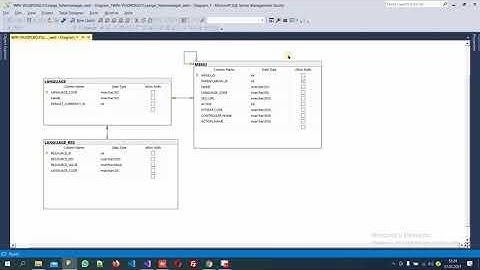 Asp.Net MVC Veritabanı (MS-SQL) ile  Dil Desteği - 1