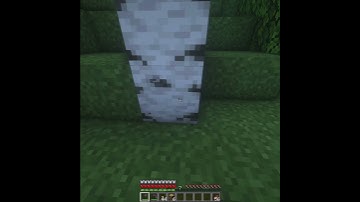 Minecraft Realistic Tree Mod | BSL Shaders Satisfying ASMR Tree Felling Mod Shaders PewDiePie/Dream