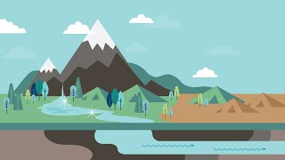 Water fluoridation in Washington: nature’s cavity fighter!