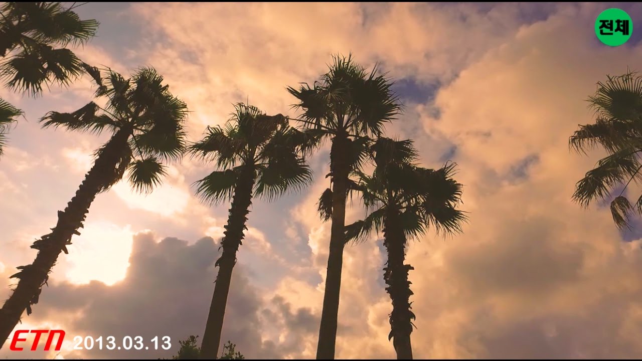 reggae cypher letra [Teaser] Tehiun(태히언)- sunset madang