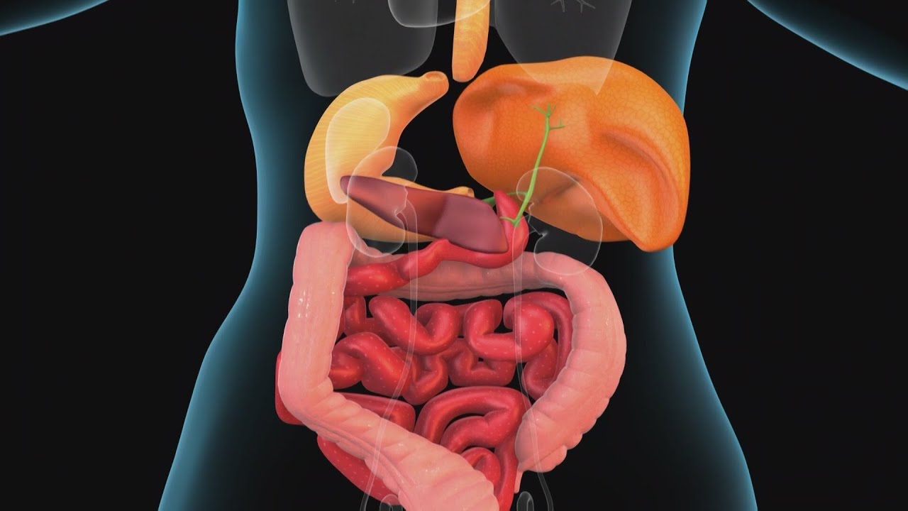 What's lurking in your stomach may be blowing your diet