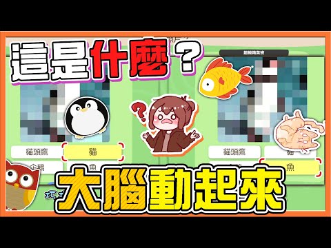 【巧克力】測試你的腦年齡~【大腦動起來】一度玩到大崩潰？這是什麼鬼????【NS靈活腦學校】