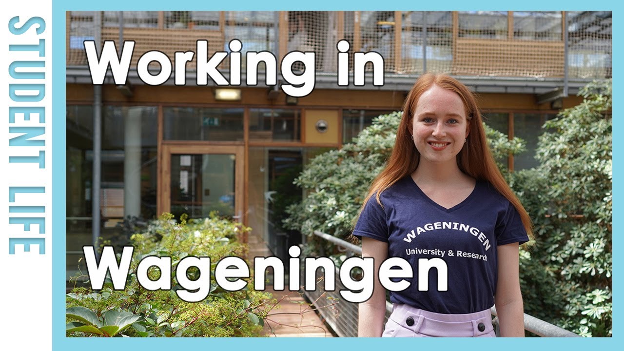 Video series student experiences- Working in Wageningen l WURtube
