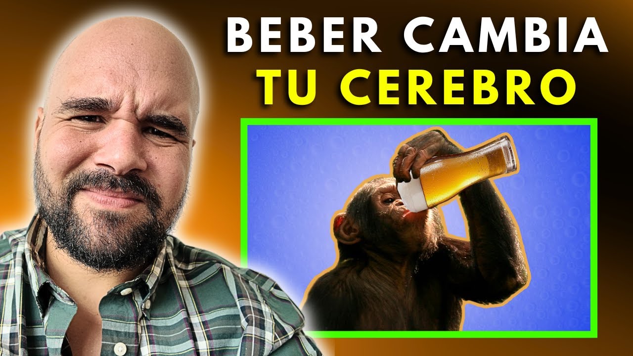 Cuáles son las 4 etapas del alcoholismo (y por qué la tercera es el punto de no retorno)