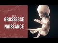 De la grossesse  la naissance dun miracle