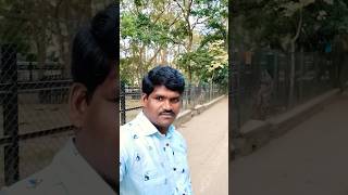 Yo YHoneySingh nayaso song l#