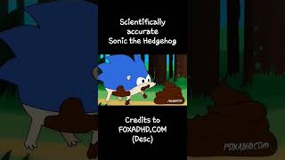 Scientifically accurate Sonic the Hedgehog (credits to foxadhd.com in desc)