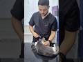 تم انقاذه هذا القط بفضل الله #veterinarypharmacist #cat #طبيب_بيطري #التهاب #اكسبلور #veterinary