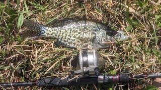 Testing Out a Classic Zebco 33. Multi Species. Surprising Results