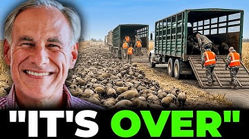 Everybody Laughed At Texas For Their Wild Boar Problem, Their Solution Might STUN Everyone
