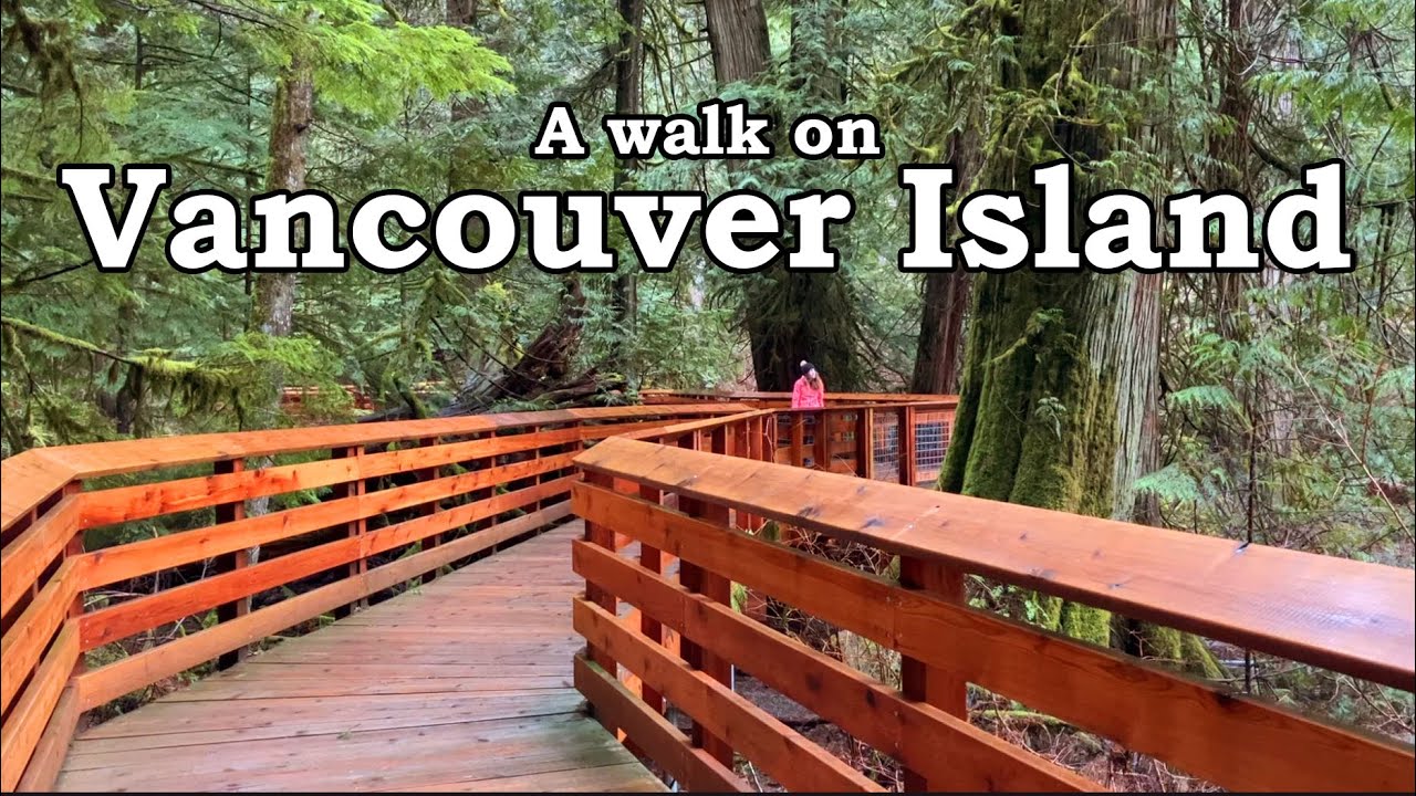 Cathedral Grove - A Walk Among Giant Douglas Fir Trees in British Columbia