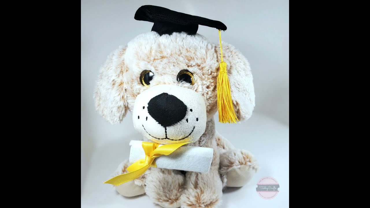"Class of 2021" Large Graduation Puppy - YouTube