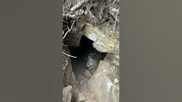 The largest skeletal we have found yet.