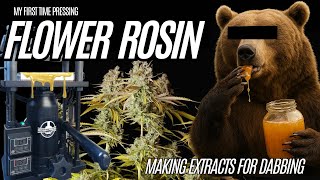 My First Time Pressing Rosin - Making  Extracts for Dabbing - Cannabis Cultivation