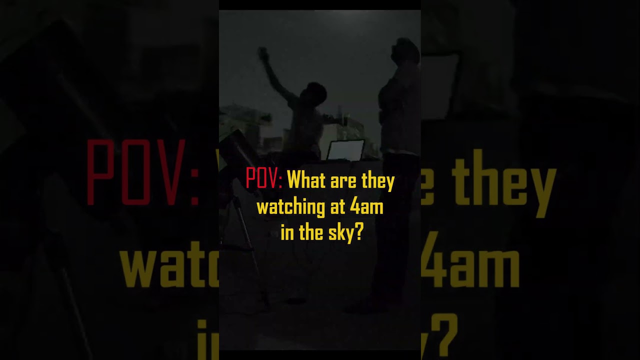 What are they watching at 4am? 