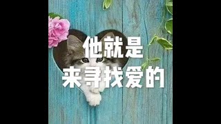 201810 他就是来寻找爱的50714