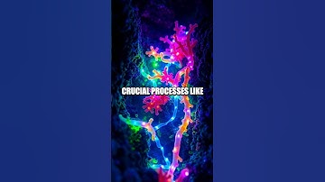 Voyage into the Microscopic Universe