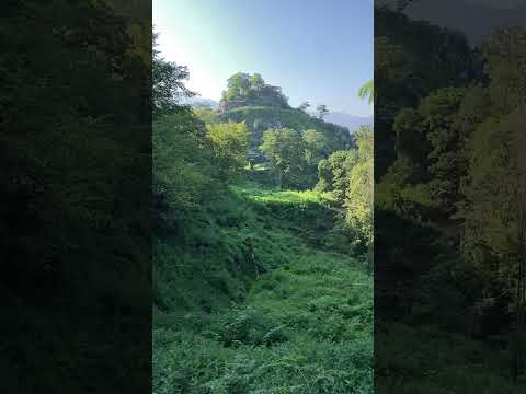 国指定史跡「苗木城跡」足軽長屋跡からの眺め、木々の間からみえる荘厳な山城。2024.8.12撮影。中津川市にあるその山城は「絶景!山城部門」で第一位を獲得した史跡。 #苗木城跡