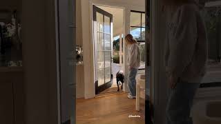 Amazon Home Gadget: Light Bulb Security Camera 🔐💡