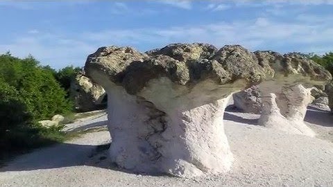 Kuln - Utopia / The Mushrooms, some spiritual places and metal