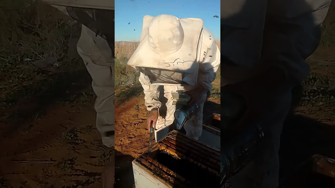 كيفية نزع طرد